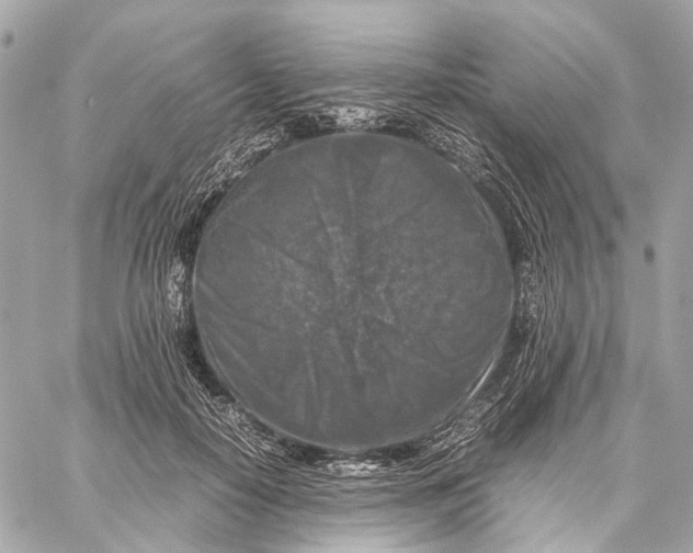 X0000059250650200511041335