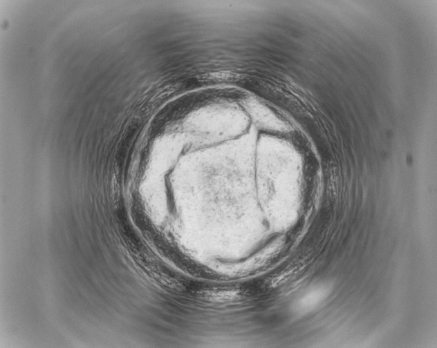 X0000059250651200511041335