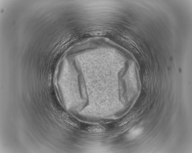 X0000059250652200511041335