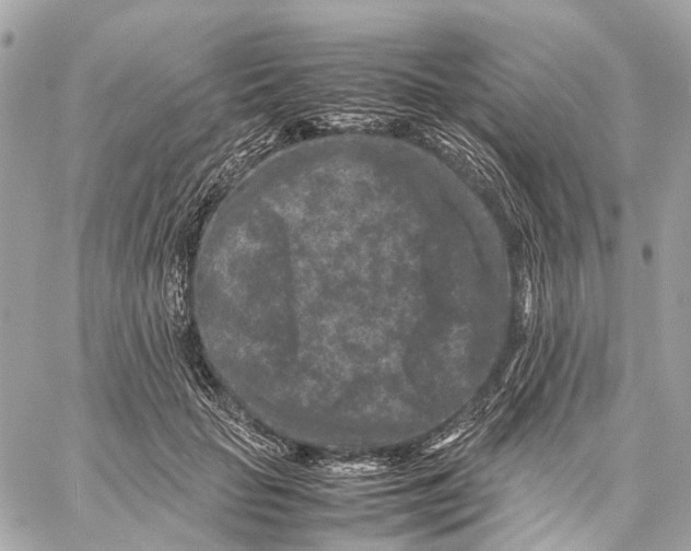 X0000059250653200511041335