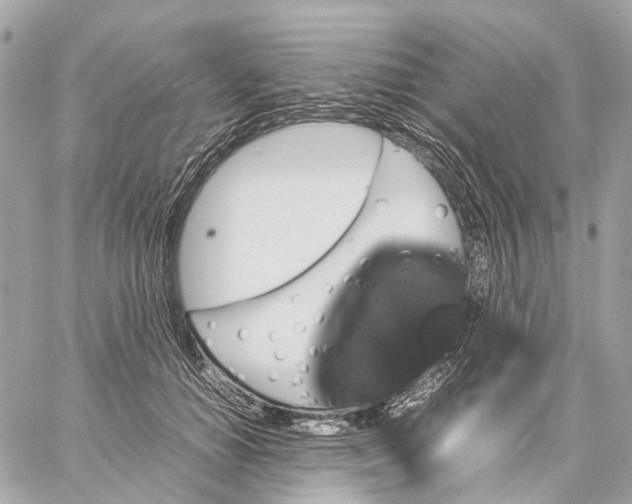 X0000059250654200511041335