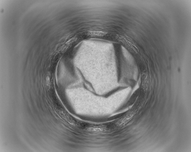 X0000059250655200511041335