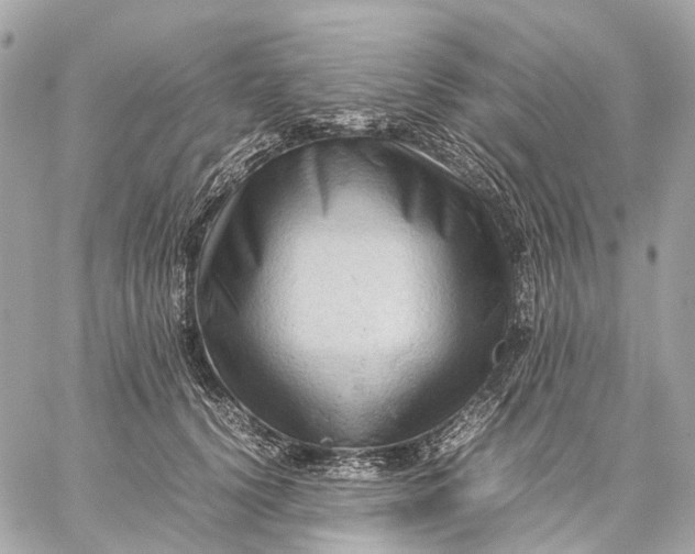 X0000059250656200511041335