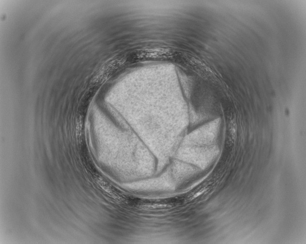 X0000059250657200511041335