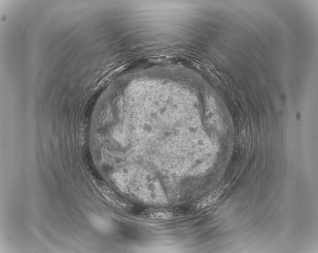 X0000059250658200511041335