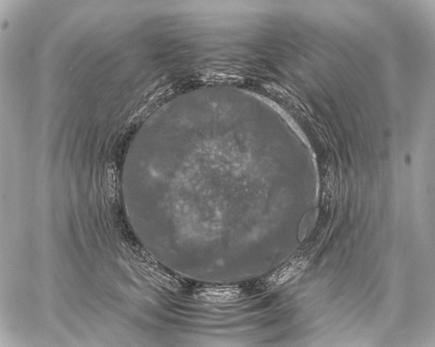 X0000059250659200511041335