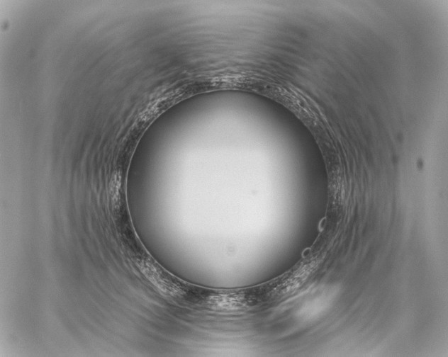 X0000059250660200511041335