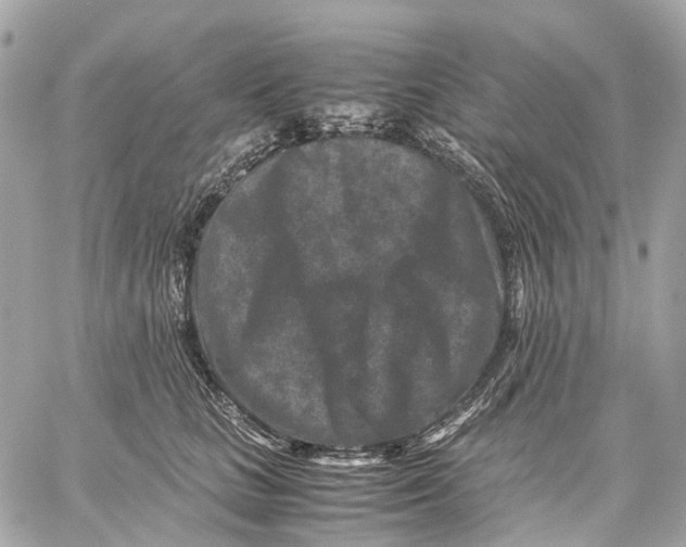 X0000059250661200511041335