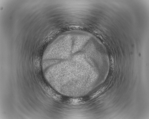 X0000059250662200511041335