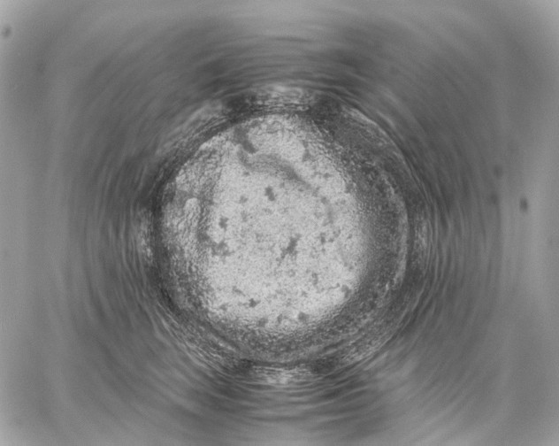 X0000059250663200511041335