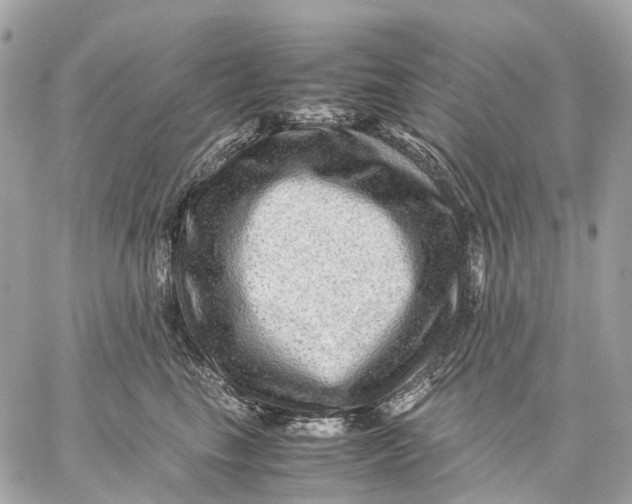 X0000059250665200511041335