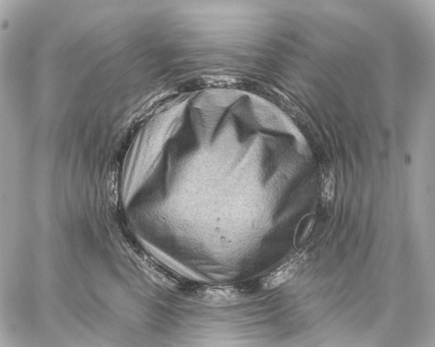 X0000059250666200511041335