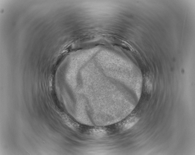 X0000059250668200511041335