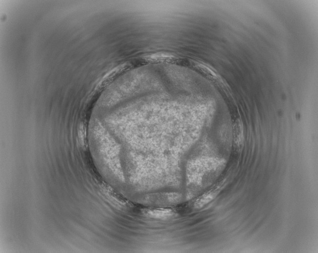 X0000059250669200511041335