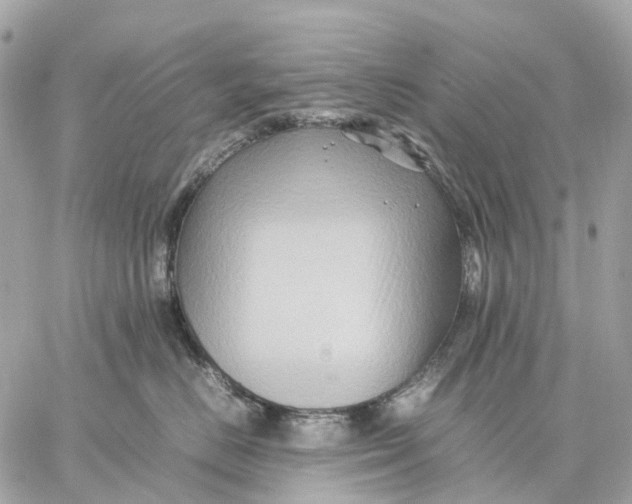 X0000059250670200511041335