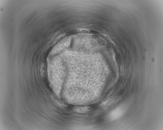 X0000059250671200511041335