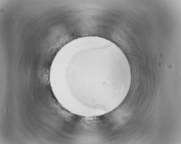 X0000059250672200511041335