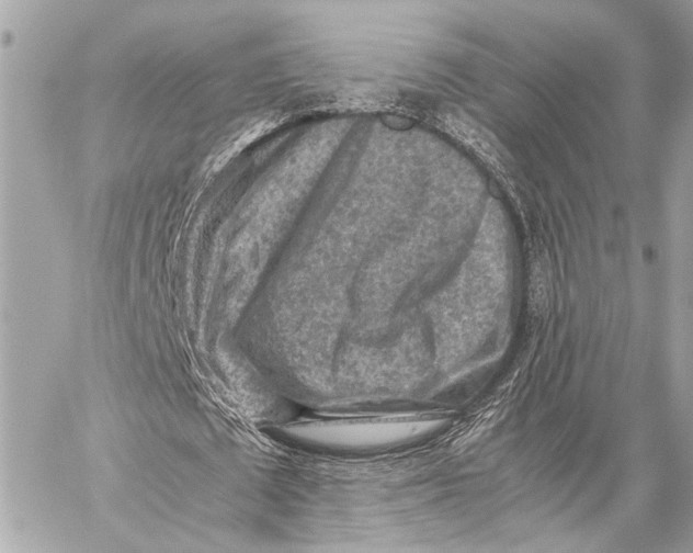 X0000059250673200511041334