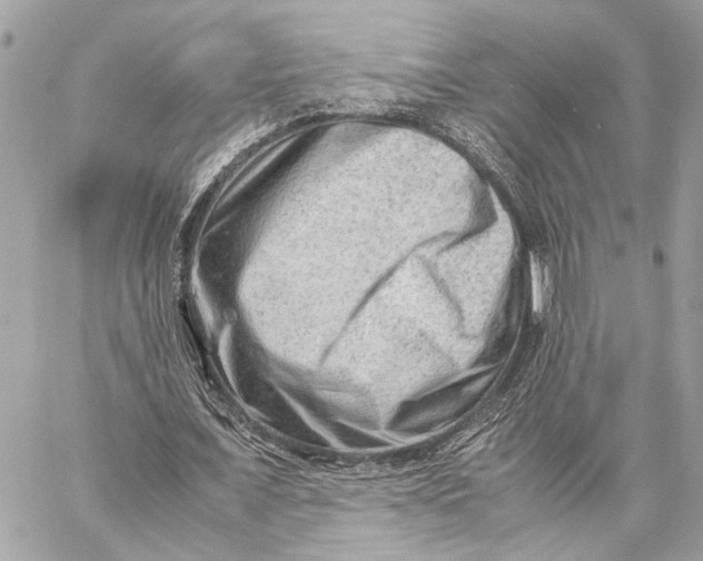 X0000059250675200511041334