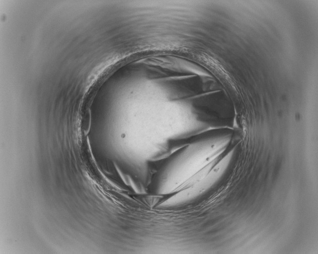 X0000059250676200511041334