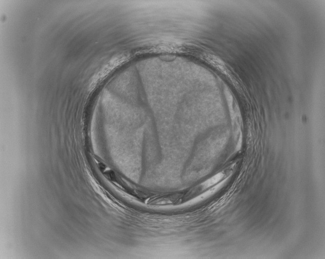 X0000059250677200511041334