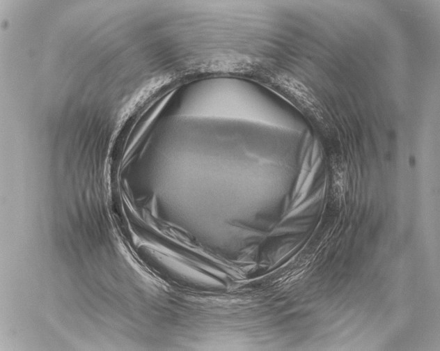 X0000059250678200511041334