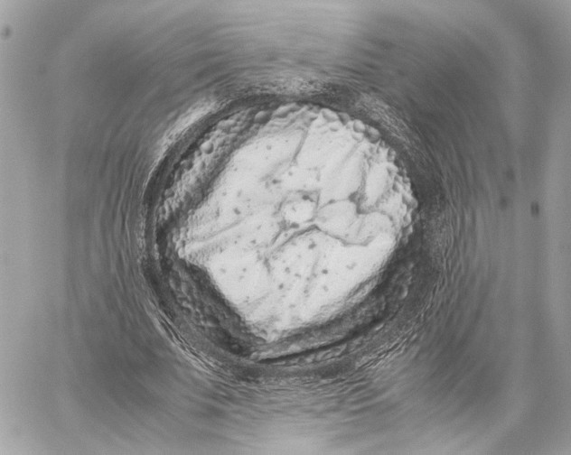 X0000059250679200511041334