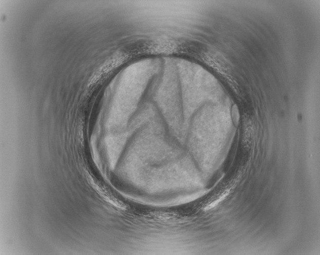 X0000059250681200511041334