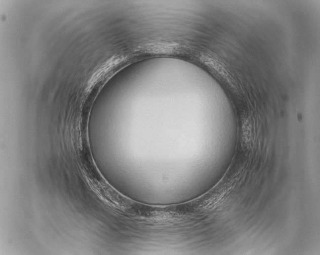 X0000059250682200511041334