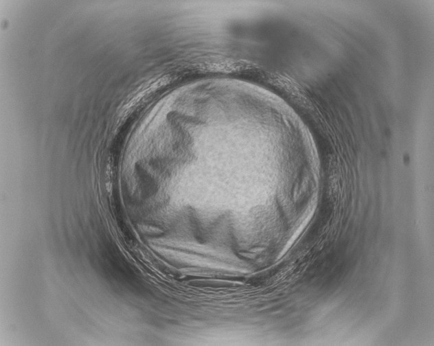 X0000059250683200511041334