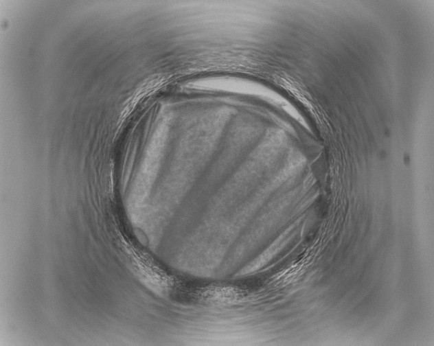 X0000059250685200511041334