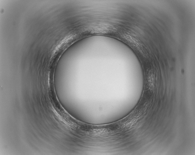 X0000059250686200511041334