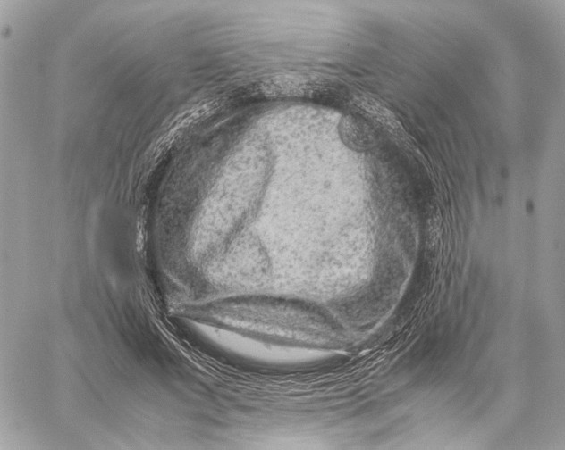 X0000059250687200511041334