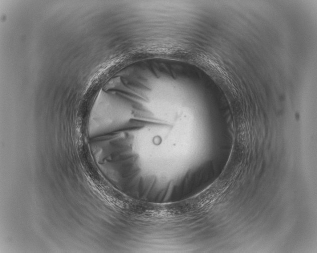 X0000059250688200511041334