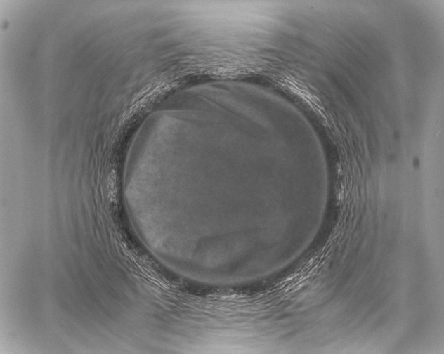 X0000059250689200511041334