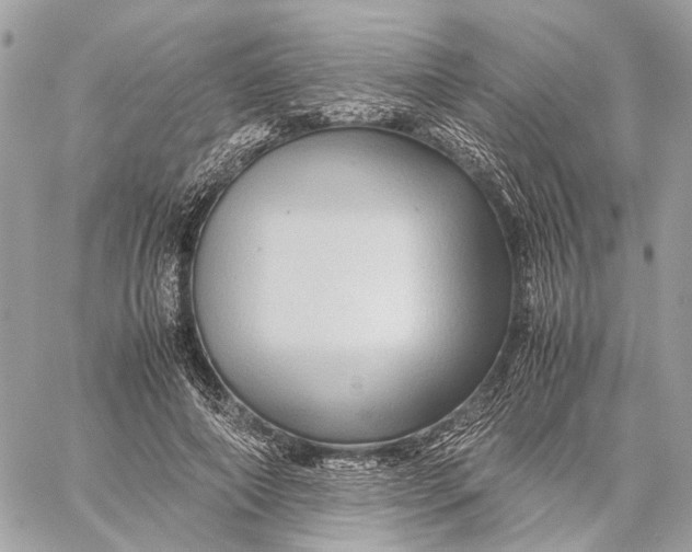 X0000059250690200511041334