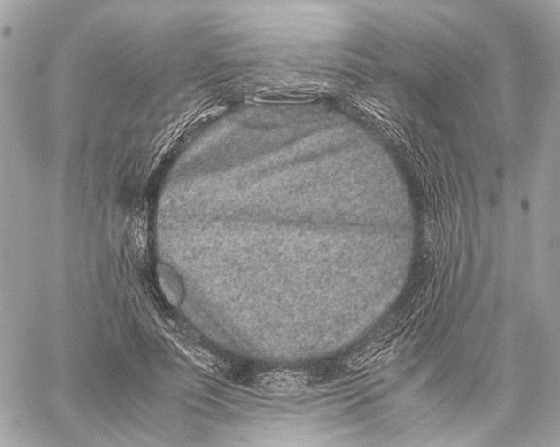 X0000059250691200511041334