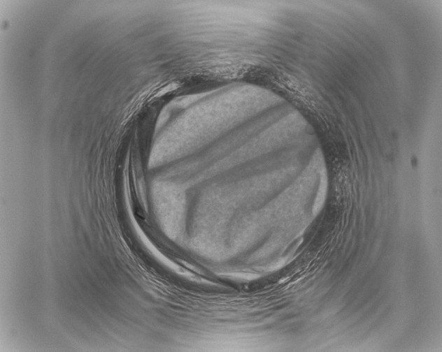 X0000059250693200511041334