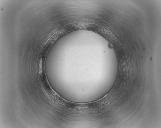 X0000059250694200511041334