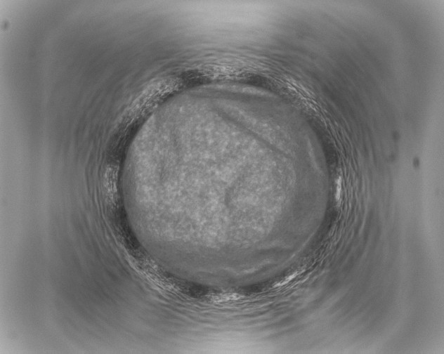 X0000059250695200511041334