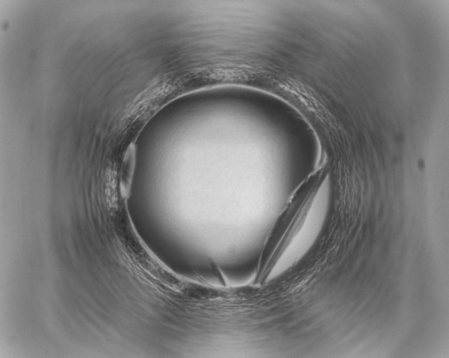 X0000059250696200511041334