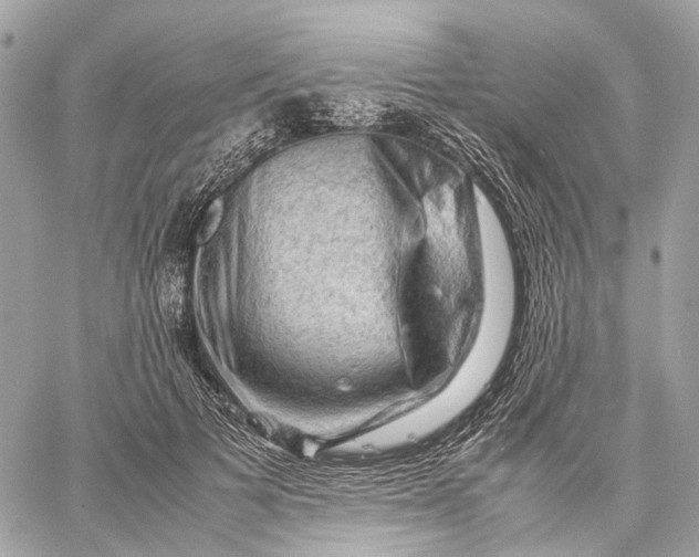 X0000059250697200511041334