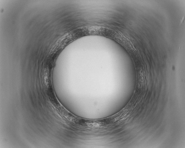 X0000059250698200511041334