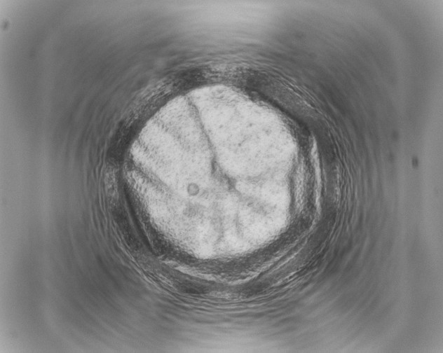 X0000059250699200511041334