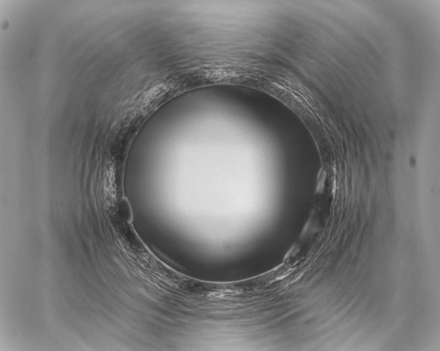 X0000059250700200511041334