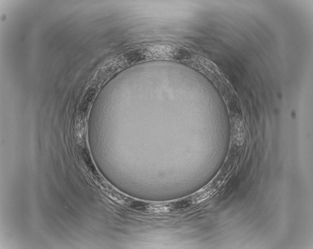 X0000059250701200511041334