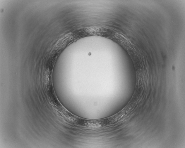 X0000059250702200511041334