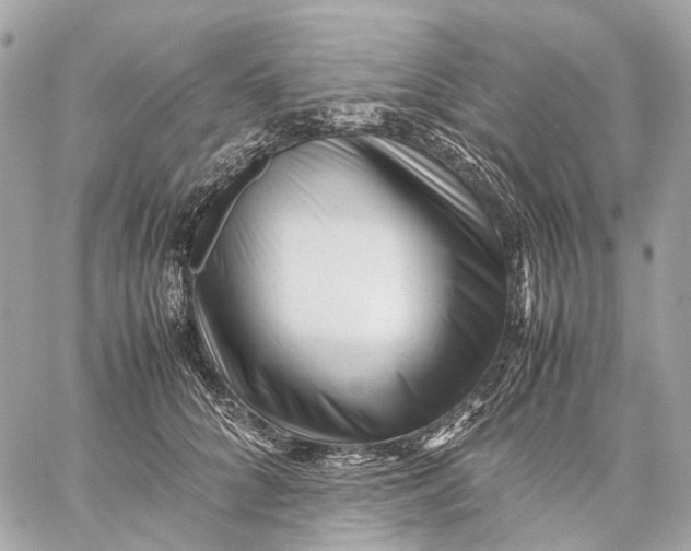 X0000059250704200511041334