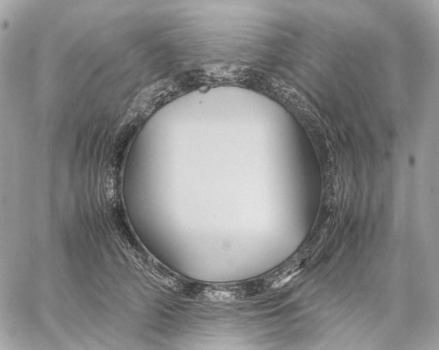 X0000059250706200511041334