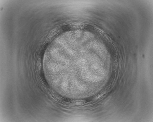 X0000059250707200511041334